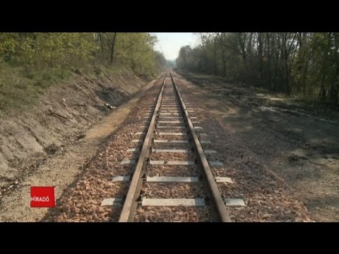 Az időjárás tett