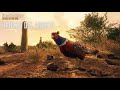 the hunter call of the wild kecány