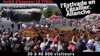 La Belle Journée Pour Le 30 Anniversaire De La Fête De Lestive À Allanche 15