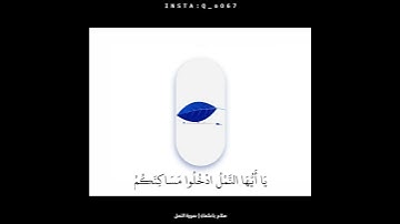 القرآن الكريم - سورة النمل - القارئ : صلاح باعثمان