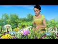 Video Image