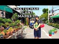 [4K] Virtual walk Bangkok Thailand 2020 | Walking in Bangkok Chatuchak plant market | Bangkok 4k
