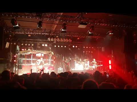 Bibiza - Eine Ode an Wien (Live Music Hall Köln, 19/2/25)