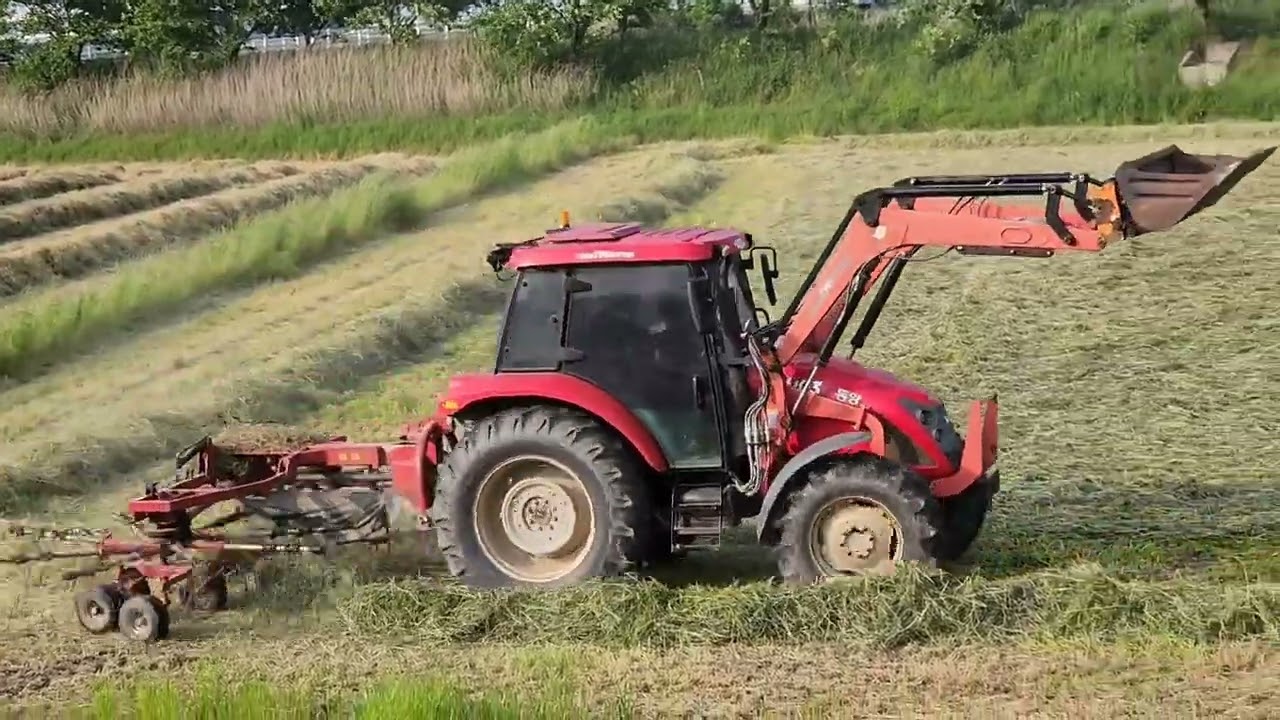 2023 라이그라스 집초