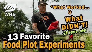 Celebrity Top 13 Food Plot Planting Success And Failures Wealth