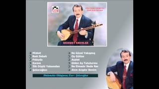 Mehmet Erenler - Şekeroglan Resimi