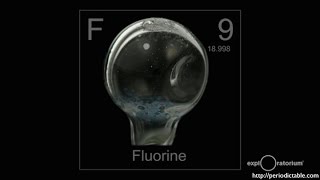 Celebrity Everything Matters | Flourine | Howard Pollick | Exploratorium Wealth