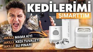 KEDİLERİME 'TEKNOLOJİK KEDİ ÜRÜNLERİNİ' ALDIM! | Petkit Kedi tuvaleti, mama kabı, su pınarı.