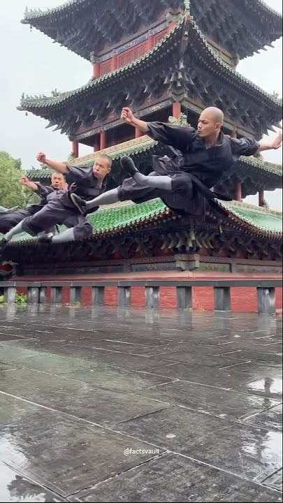 Shaolin monk training #shaolin #shorts