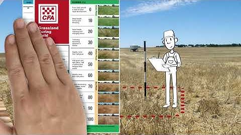 Being a Grassland Observer