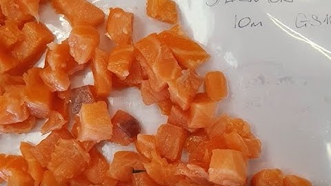 Máy Cắt Cá Hồi Công Nghiệp GS10-2