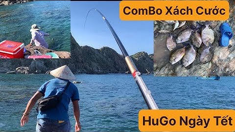 Câu Cá Trong Khu Du Lịch Eo Gió, Câu Cá Biển Tự Nhiên, Gặp Toàn Hạng Nặng, Cá Dìa. TÝ FISHING.