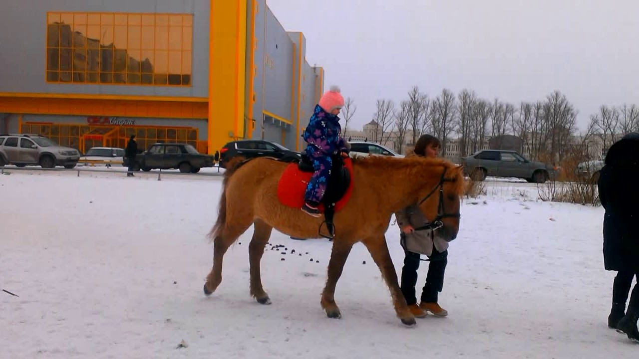 Оджи ока колпино