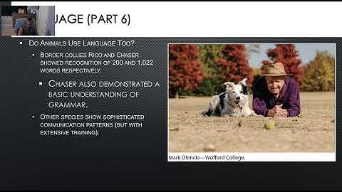 Chapter 8- Cognition, Language and Intelligence