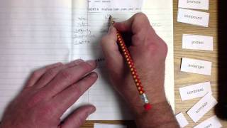 DV4 Prefixes (sub-, com-, pro-, en-)