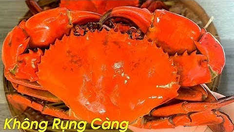 Chia Sẻ Bí Quyết LUỘC CUA BIỂN KHÔNG BỊ RỤNG CÀNG,Cách Pha Nước Chấm Hải Sản Sánh đặc Cực kì Ngon.