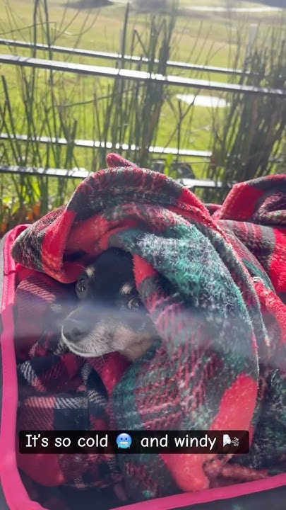 a-memorable-mistake-15mph-wind-with-winter-temperatures-for-a