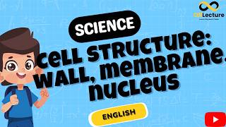 Inside the Cell: Structure and Functions Explained | Cell Wall vs. Cell Membrane | OffLecture Roots