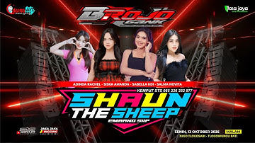 LIVE SHAUN THE SHEEP - HAPPY PARTY BROJO GANK - JUGO TLOGOWUNGU PATI | COUNSTITY AUDIO