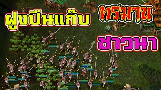 ปืนแก๊บติดกล้องทรมานศัตรู - Battle Realms (+ Winter of the Wolf) steam