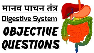 NEET 2023 Digestive System Objective Questions | मानव पाचन तंत्र ऑब्जेक्टिव प्रश्न। @StudyCircle247