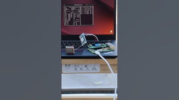 NEO-6M GPS Module Connected over UART to Raspberry Pi 5 with gpsd and cgps on custom Linux distro