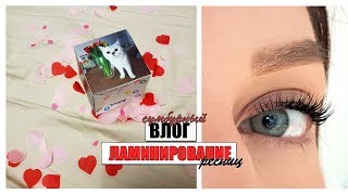 ЛАМИНИРОВАНИЕ РЕСНИЦ | НОВОЕ МОДНОE ПАЛЬТО | ПОСЫЛКА ДЛЯ КОТА ЛАМИНИРОВАНИЕ РЕСНИЦ | НОВОЕ МОДНОE ПАЛЬТО | ПОСЫЛКА ДЛЯ КОТА