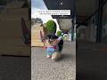 Public react to dog dressed as chucky  dog pomeranian halloweenwithshorts