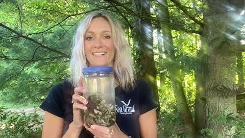 Introduction to Aquatic Invasive Species (AIS)