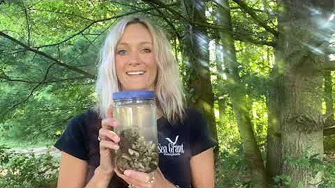 Introduction to Aquatic Invasive Species (AIS)