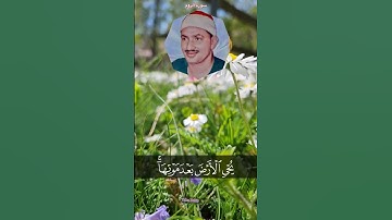 الشيخ محمد صديق المنشاوي سورة الروم