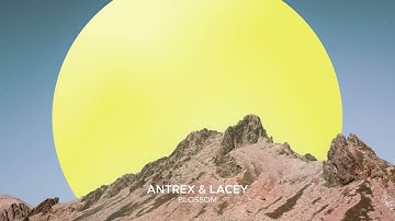 Antrex, Lacey - Blossom