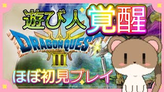 結局あそび人でここまで来てしまった…　#ドラクエ3HD2D