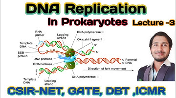 Prokaryotes DNA Replication mechanism (lecture -3)For CSIR-NET, GATE, SET, JET, DBT ICMR