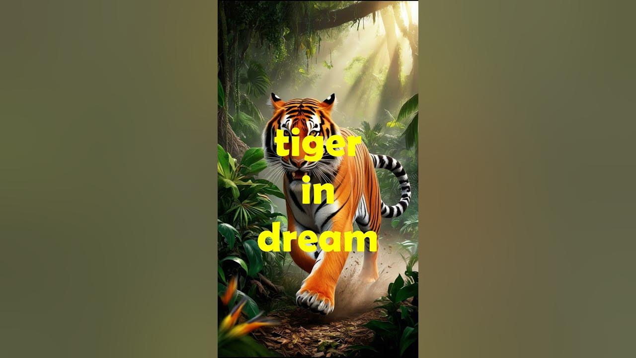 tiger-dream-meaning-dream-about-a-tiger-attacking-dream-of-a-tiger