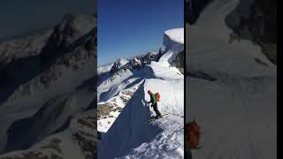 IMG 3928