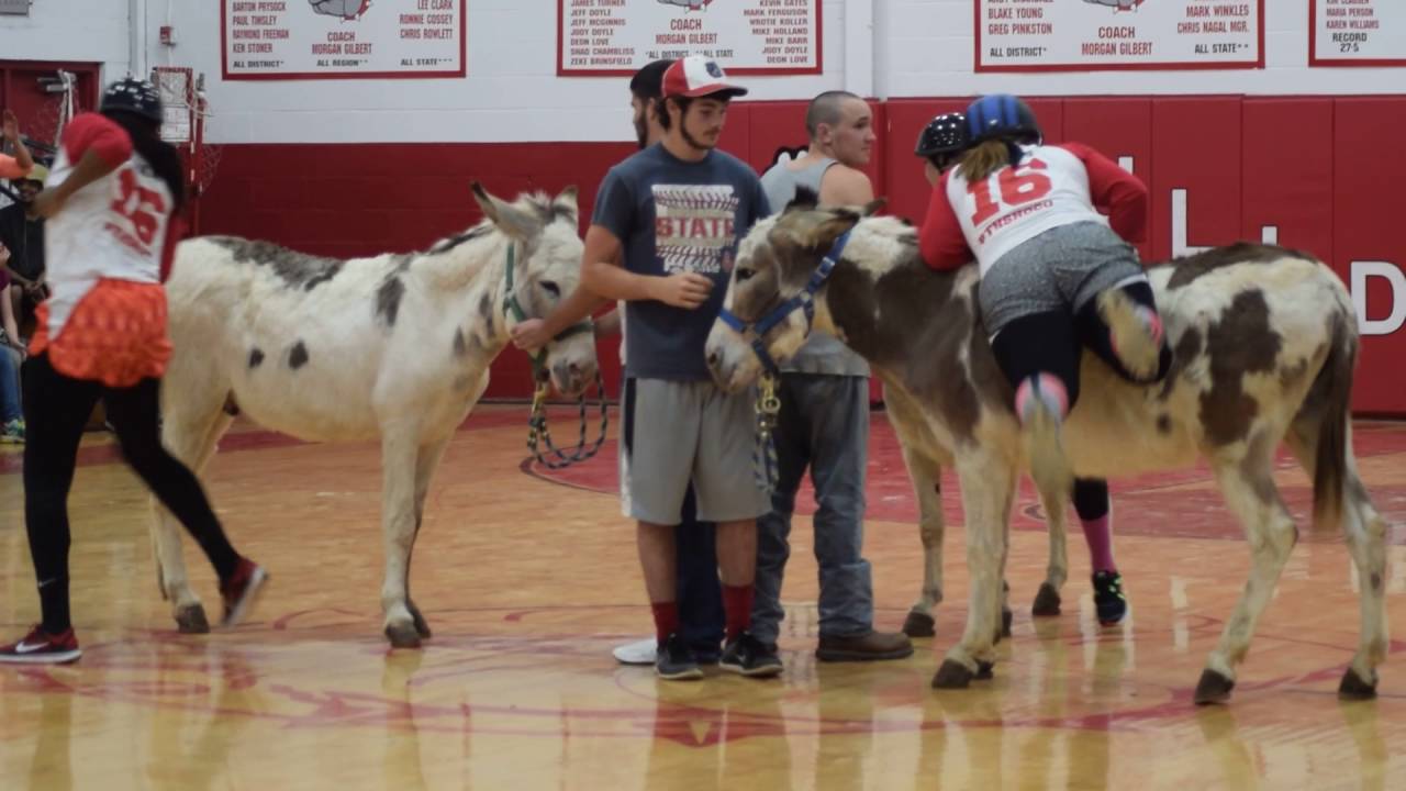 camera iphone 8 plus apk THS Donkey Basketball 4