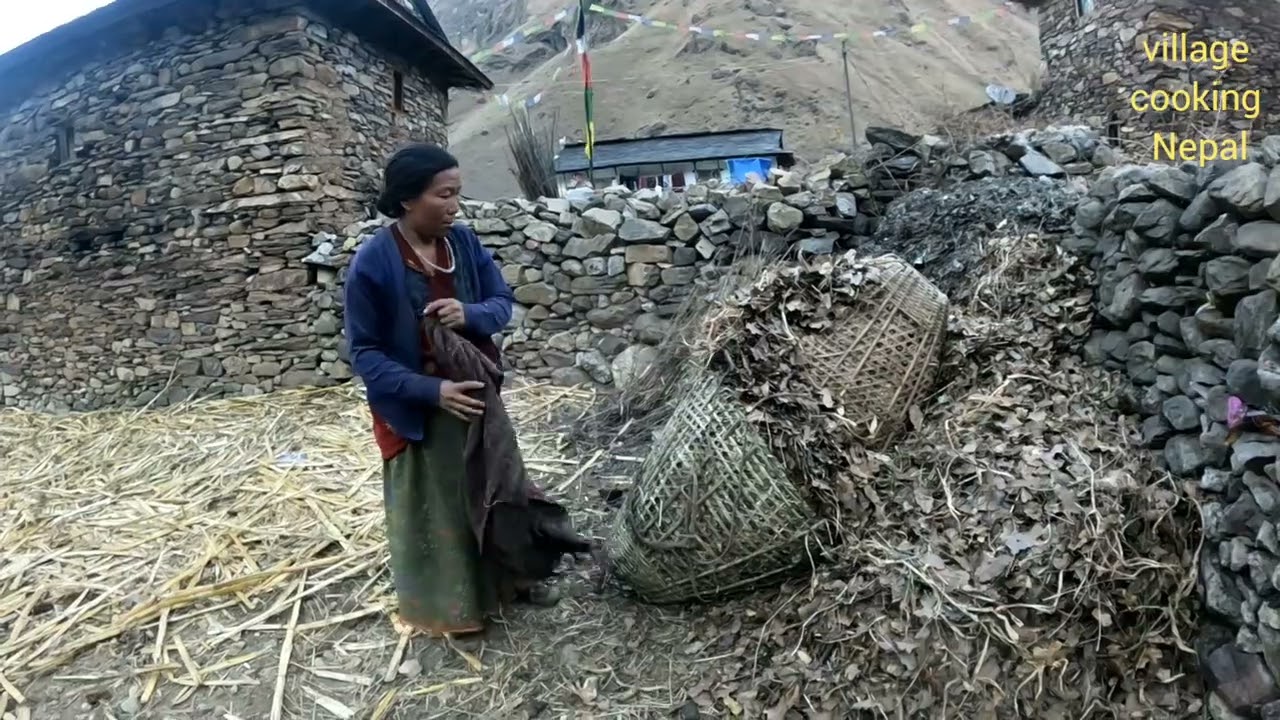 carrying  the  dry leaf for the compost   sera |  village cooking Nepal ||