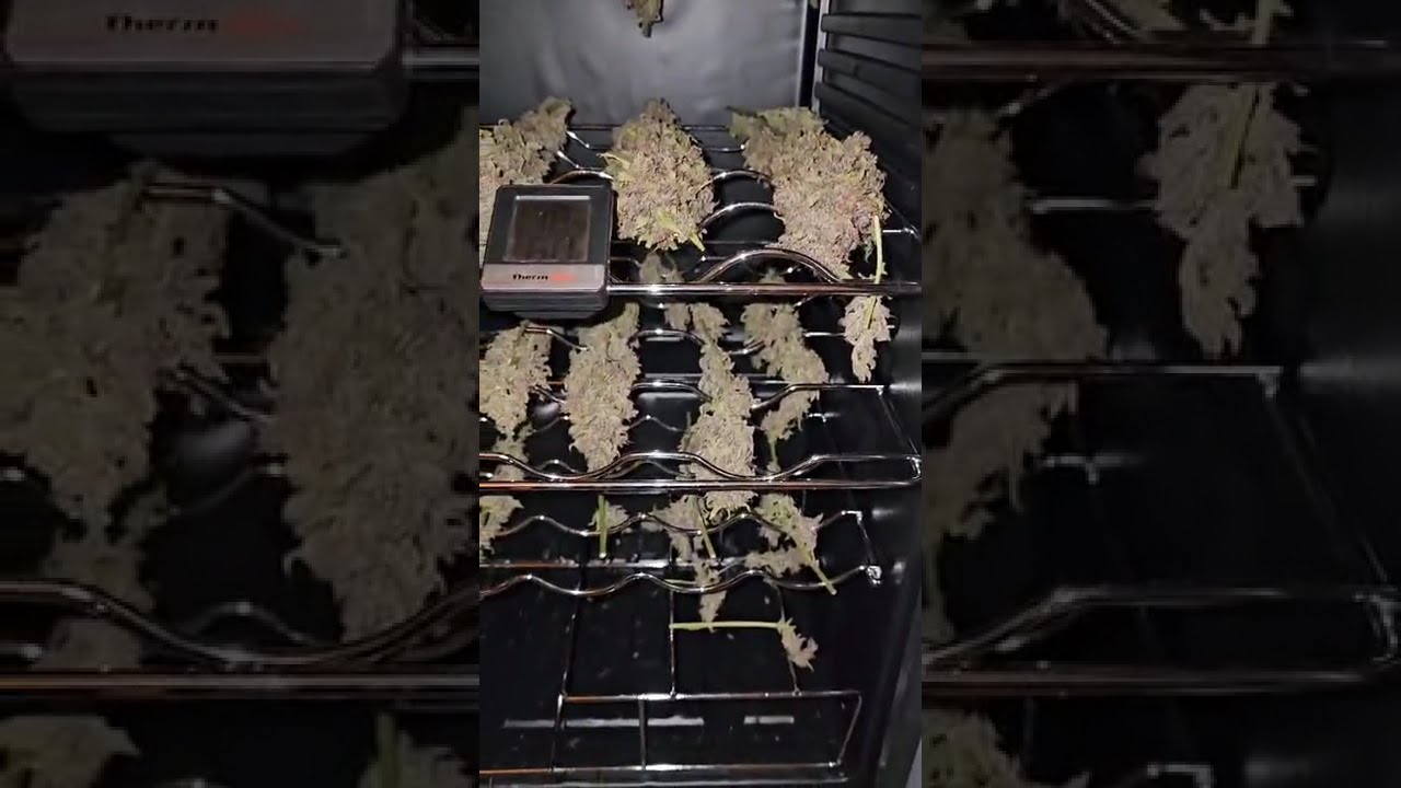 🔥 Mystery Auto by 