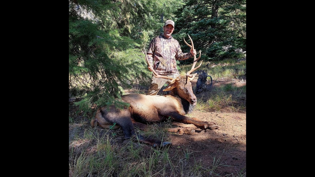 2023 Central Oregon Bull Elk Harvest YouTube