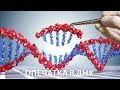 Опечатка в ДНК: как вычислить будущее заболевание?