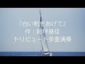 ふきのとう『白い帆を上げて』作:細坪基佳トリビュート演奏多重録音71