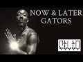 Now Later Gators Curren Y Freddie Gibbs The Alchemist Remake Instrumental mp3
