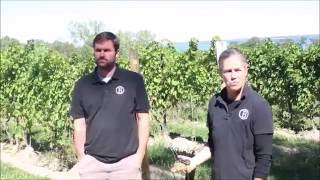 Case Club vineyard Discussion