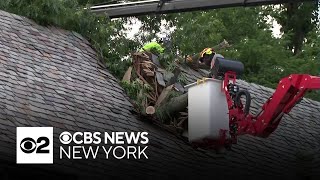 Tree crashes through roof of Maplewood, N.J., home