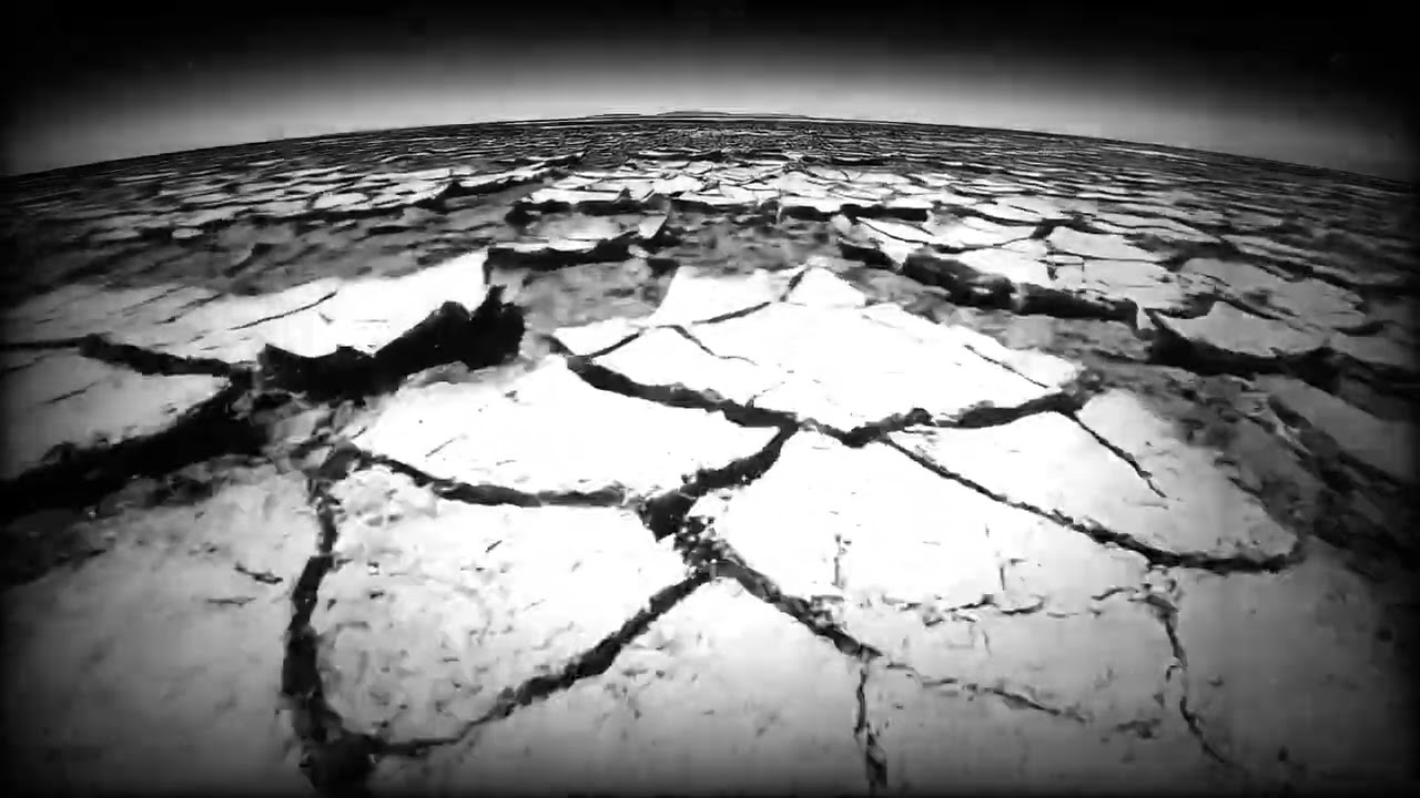 DO YOU MEAN THE DRY LAND?