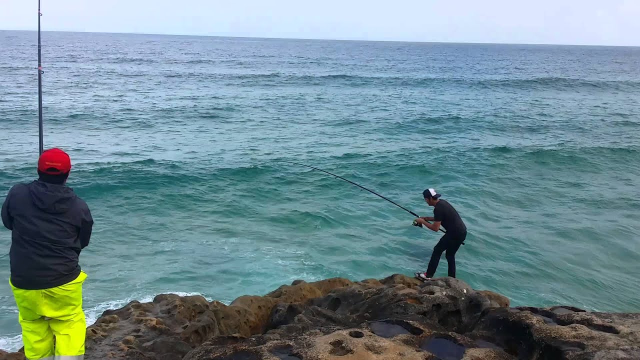 Rock Fishing Sydney ahmad and ivan YouTube