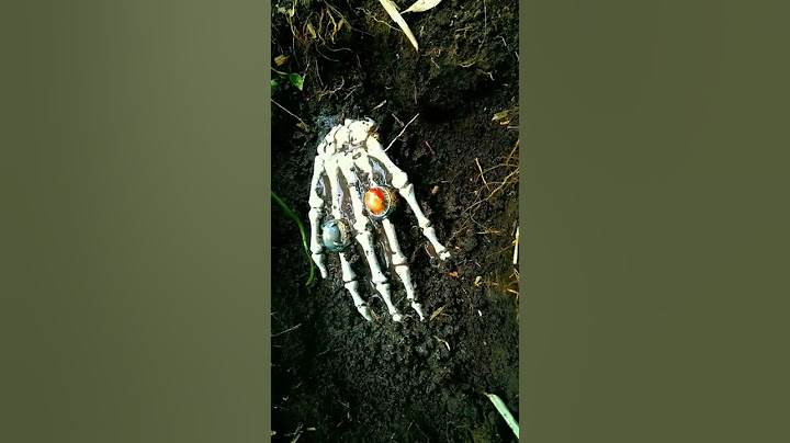 Penemuan Paling Menakutkan [ Metal Detektor ] Pinpointer. Pemburu harta karun