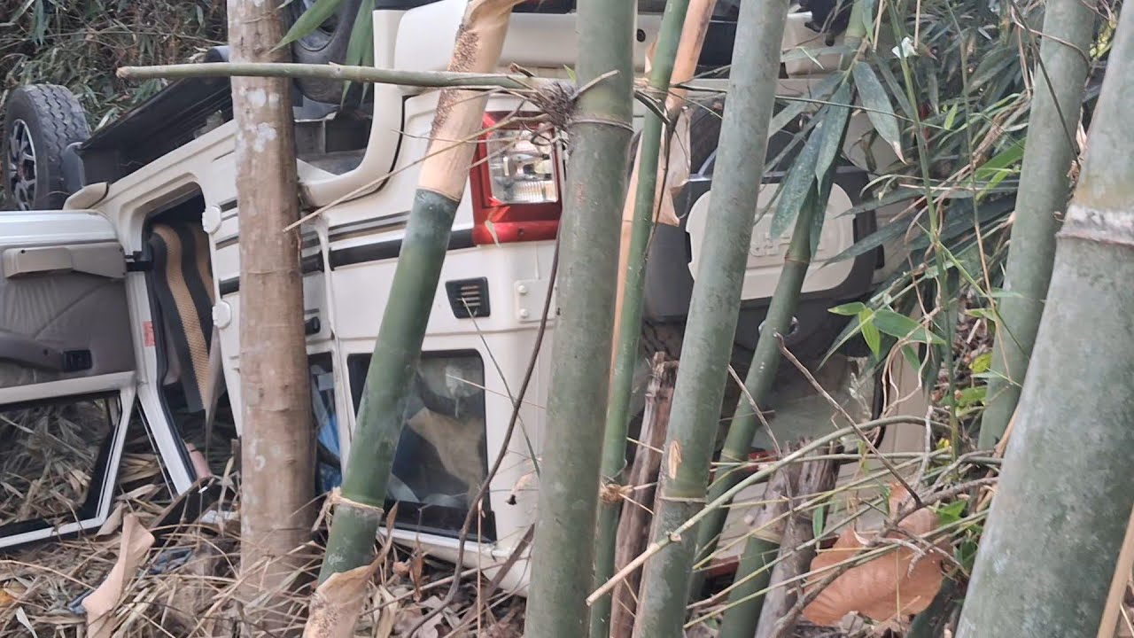 Прямая трансляция ДТП в Аличене, Нагаланд (информационное видео) #авария