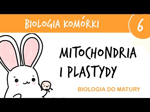 Wideo: Jakiego koloru mogą być plastydy w roślinach